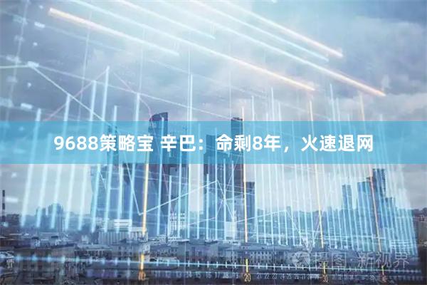9688策略宝 辛巴：命剩8年，火速退网