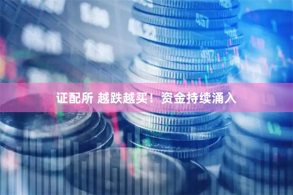 证配所 越跌越买！资金持续涌入